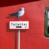 Möwe auf Schild