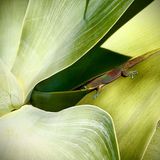 John Konikkara/ IPPAWARDS