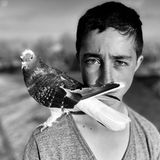 Junge mit Taube von Ramazan Cirakoglu