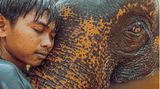 Junge mit Elefant von Juan Castaneda/ IPPAWARDS 2023