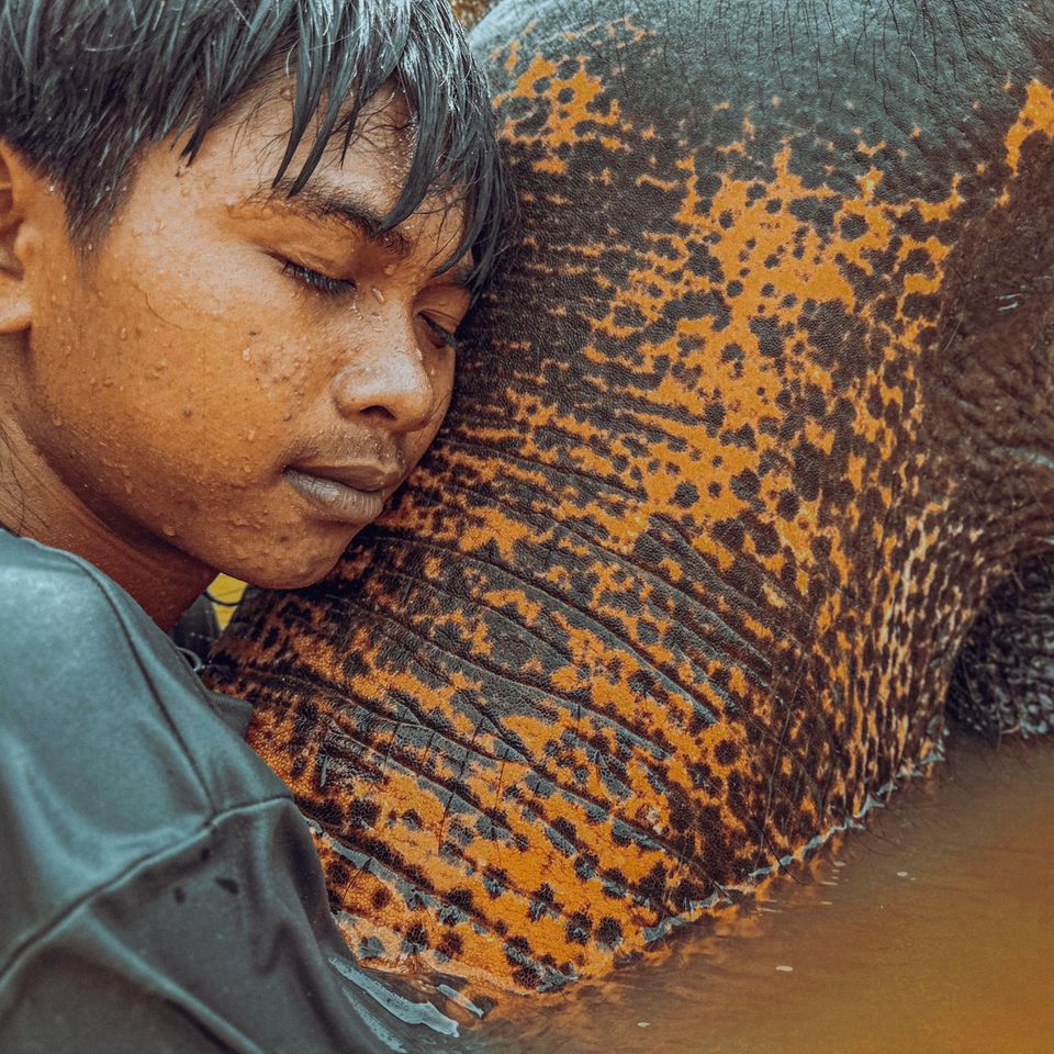 Junge mit Elefant von Juan Castaneda/ IPPAWARDS 2023