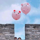 Kinder mit Schweinchen von Zhang Xiaojun