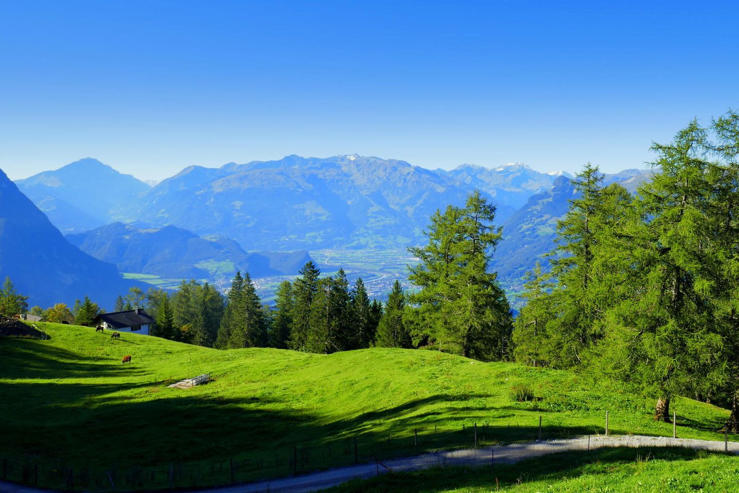 Fürstensteig in Liechtenstein mit Alpenblick ins Rheintal