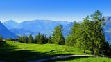 Fürstensteig in Liechtenstein mit Alpenblick ins Rheintal