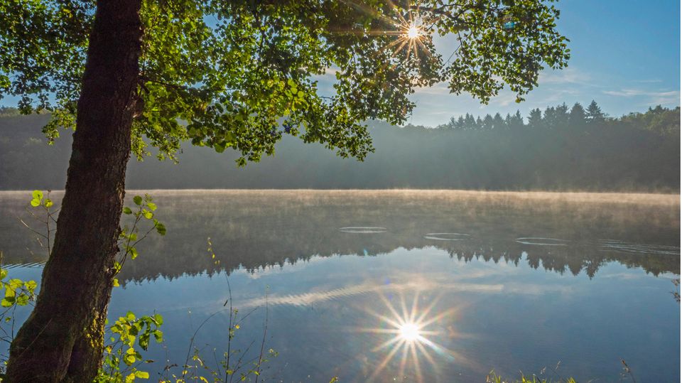 Deutschland und Benelux: Die Maare sind die Wahrzeichen der Vulkaneifel, entstanden durch unterirdische Explosionen. Das Holzmaar ist das am besten untersuchte jener eigentümlichen Gewässer Die Maare sind die Wahrzeichen der Vulkaneifel, entstanden durch unterirdische Explosionen. Das Holzmaar ist das am besten untersuchte jener eigentümlichen Gewässer