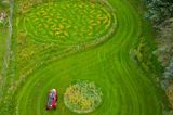 Michael Uy, Künstler, mäht Rasen auf seiner ganz besonderen Wiese