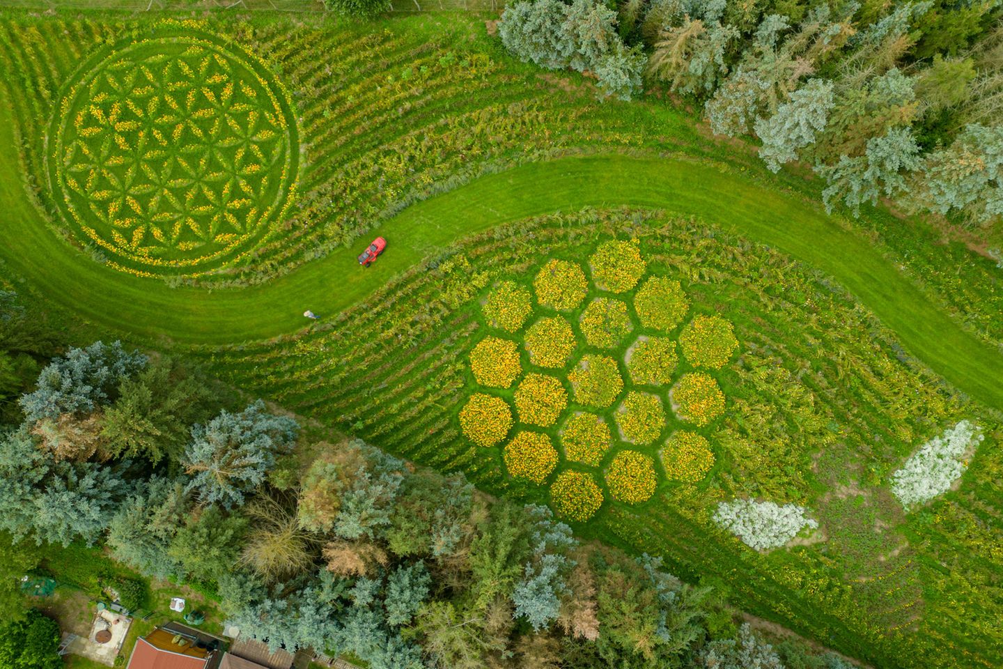 Luftaufnahme des Naturschutz-Kunstwerks