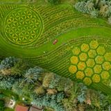 Luftaufnahme des Naturschutz-Kunstwerks