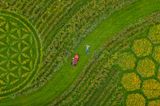 Michael Uy, Künstler, liegt neben einem Rasenmäher auf seiner ganz besonderen Wiese