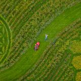 Michael Uy, Künstler, liegt neben einem Rasenmäher auf seiner ganz besonderen Wiese