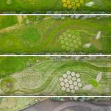 Die vierteilige Bildkombo zeigt das Entstehen der Wiese des Künstlers Michael Uy