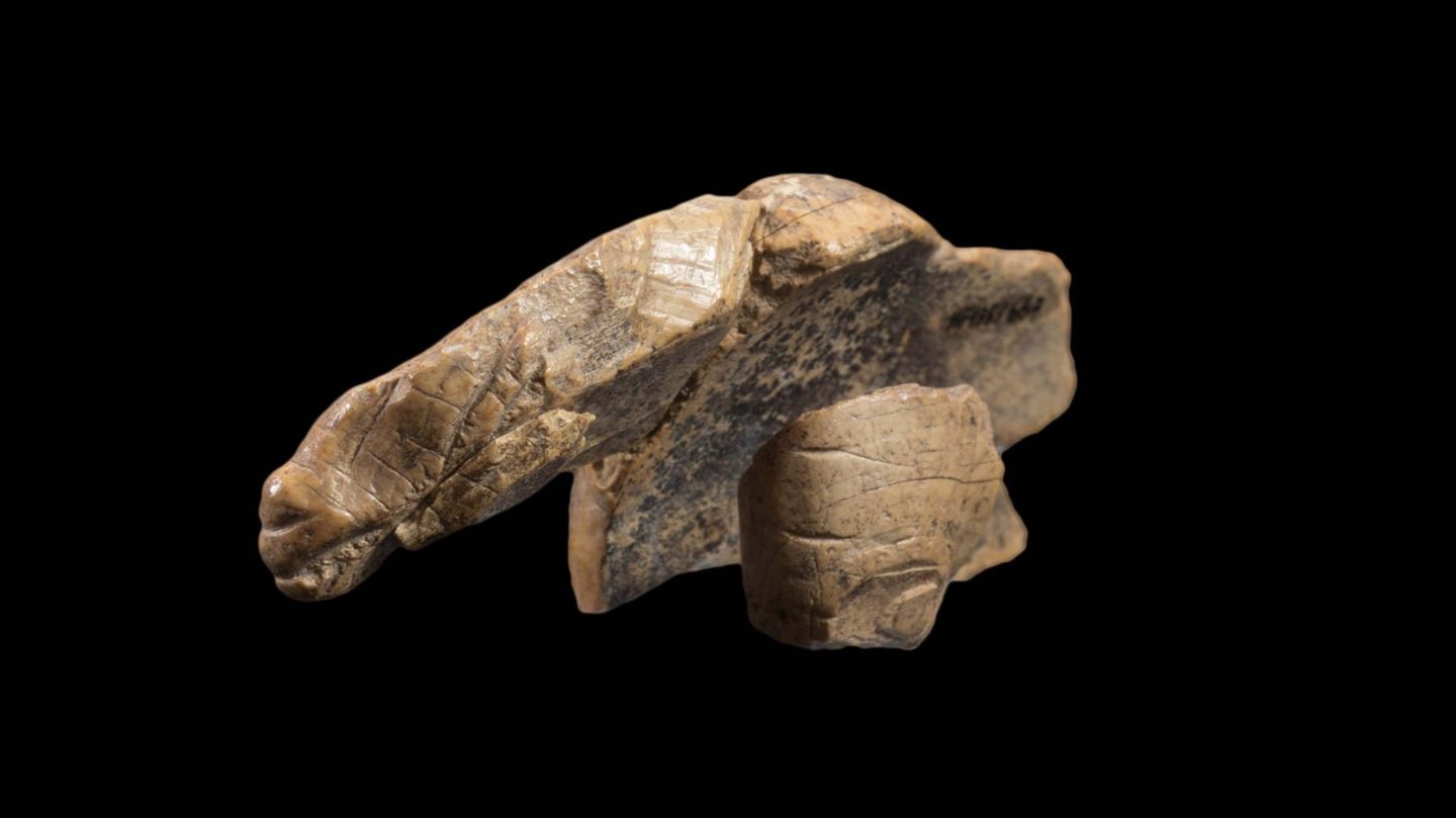 Schwäbische Alb: Die Tierfigur von rechts vorne gesehen. Im Vordergrund rechts das nun ergänzte Bruchstück Die Tierfigur von rechts vorne gesehen. Im Vordergrund rechts das nun ergänzte Bruchstück