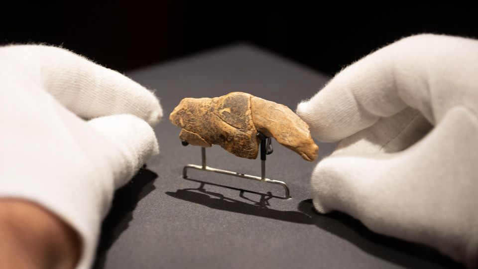 Schwäbische Alb: Pferd, Bär oder Höhlenlöwe? Das neu entdeckte Bruchstück (hier nicht im Bild) veranlasst Forschende, das Kunstwerk neu zu interpretieren Pferd, Bär oder Höhlenlöwe? Das neu entdeckte Bruchstück (hier nicht im Bild) veranlasst Forschende, das Kunstwerk neu zu interpretieren