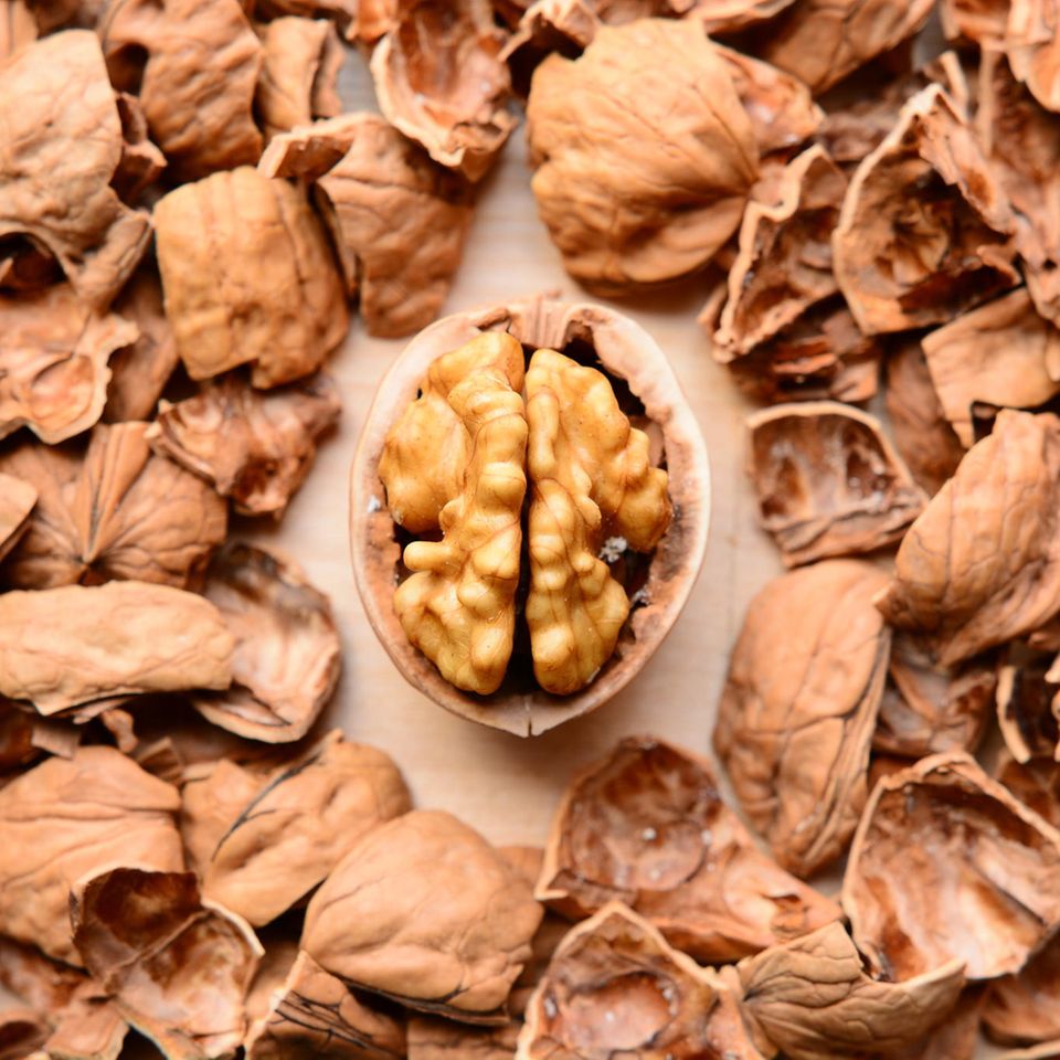 Eine halbgeschälte Walnuss liegt inmitten von Nussschalen Eine halbgeschälte Walnuss liegt inmitten von Nussschalen