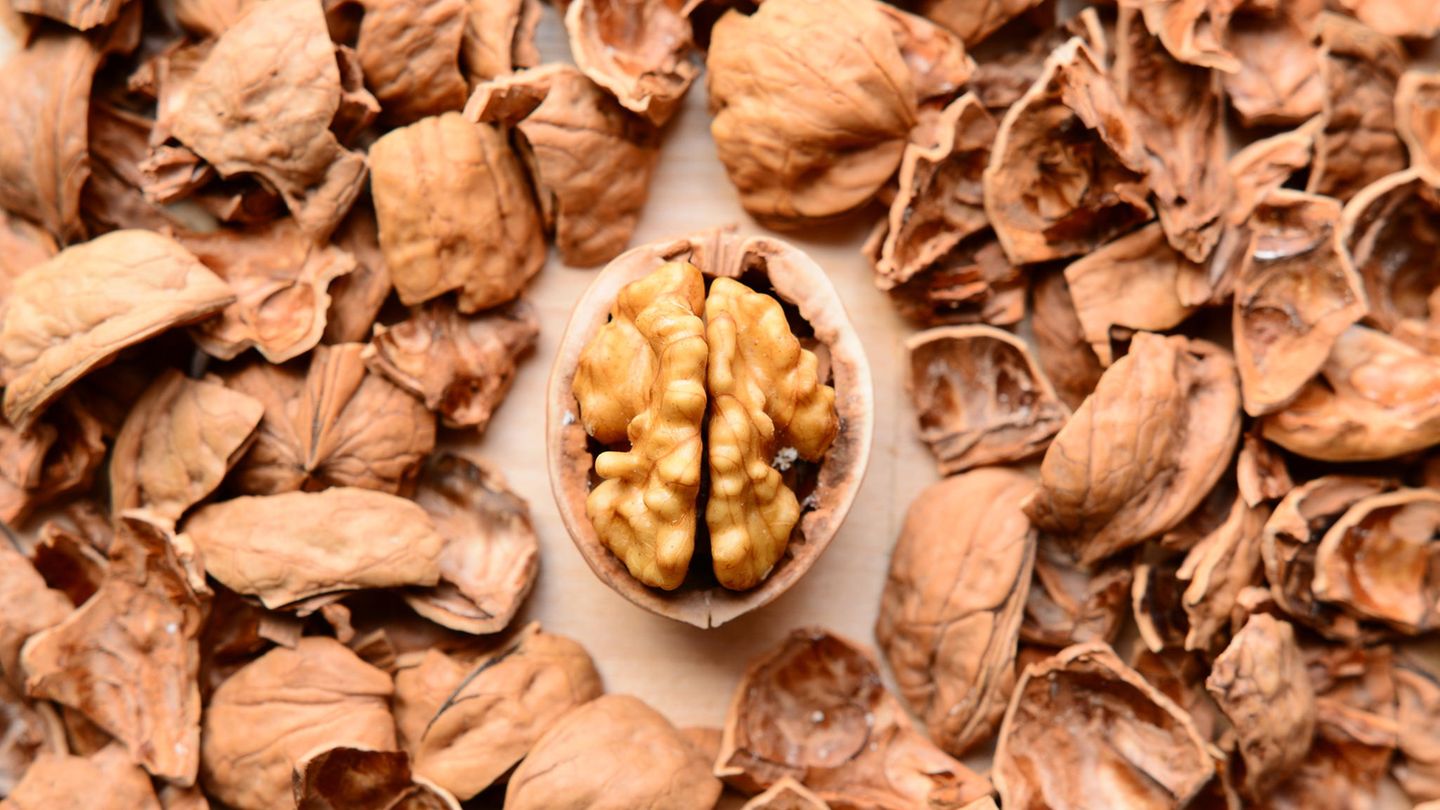Eine halbgeschälte Walnuss liegt inmitten von Nussschalen Eine halbgeschälte Walnuss liegt inmitten von Nussschalen