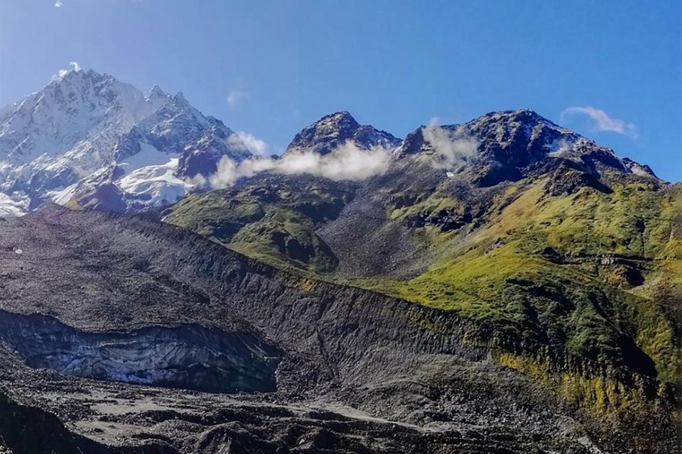 In den eisigen Höhen des Himalaya, auf 4000 Meter, gedeiht Takakia. Das robuste Pflänzchen ist ein lebendes Fossil
