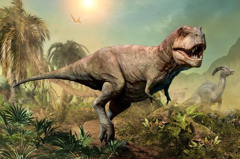 Dinosaurier