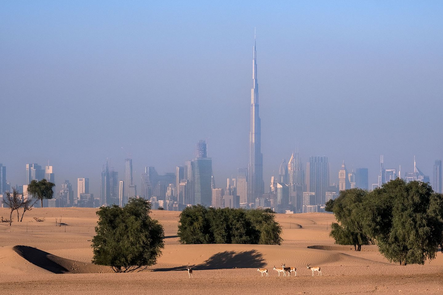 Skyline von Dubai mit einer Wüstenlandschaft im Vordergrund