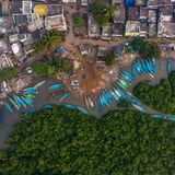 Mangroven in Andhra Pradesh