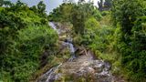 Wasserfall bei Orocovis inmitten von einer grünen Landschaft