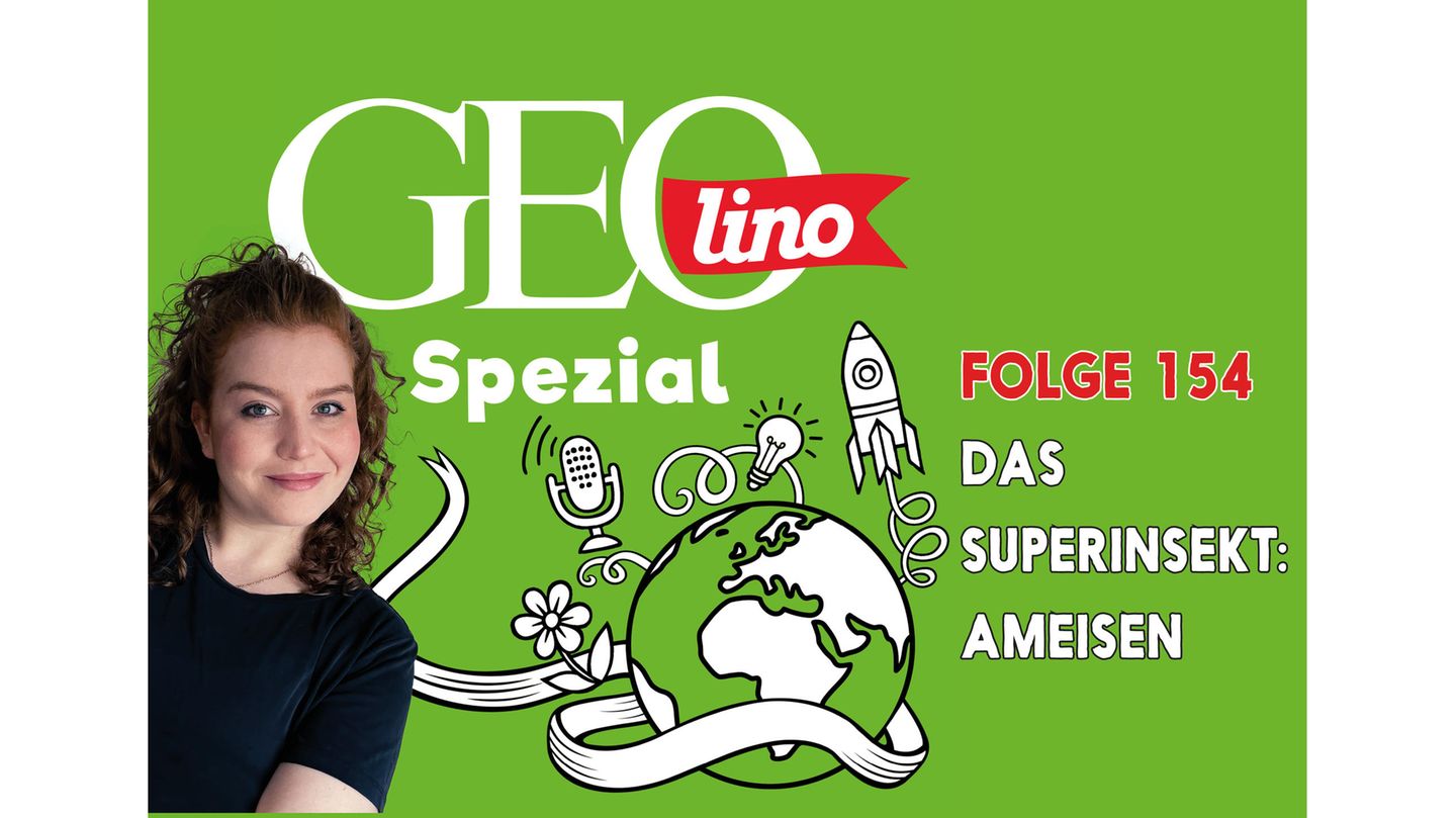 Das Thema in Folge 154 von GEOlino Spezial: Ameisen
