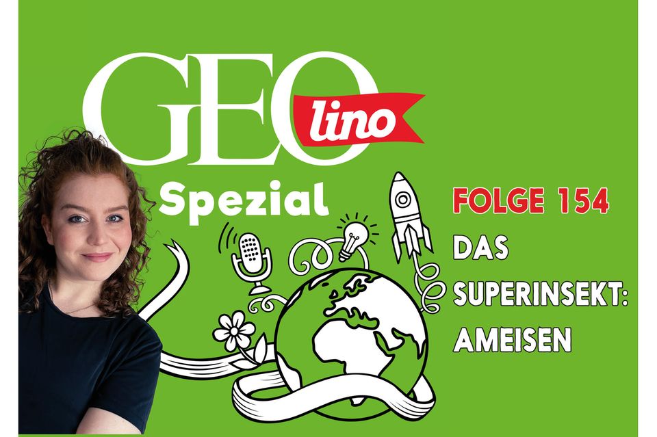 Das Thema in Folge 154 von GEOlino Spezial: Ameisen