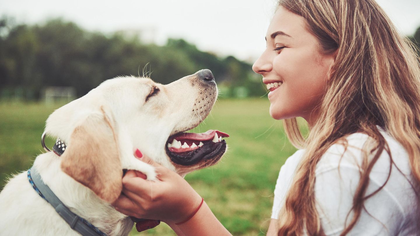 Ein heller Labrador und eine junge Frau sehen sich an. Im Hintergrund ist eine grüne Wiese zu sehen