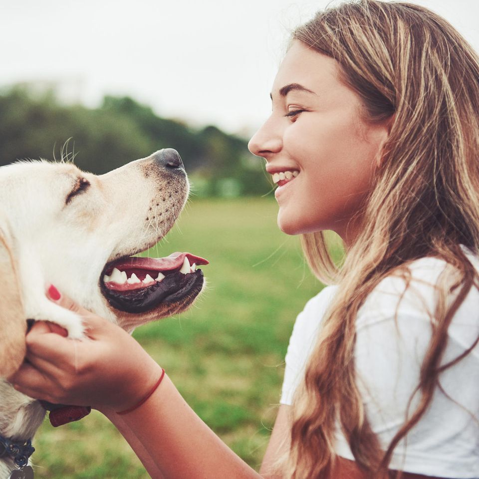 Ein heller Labrador und eine junge Frau sehen sich an. Im Hintergrund ist eine grüne Wiese zu sehen