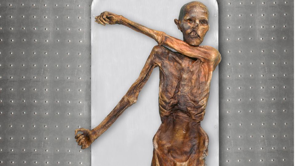 Mumie Ötzi liegt auf einem Untersuchungstisch Mumie Ötzi liegt auf einem Untersuchungstisch