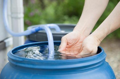 Regenwasser sammeln