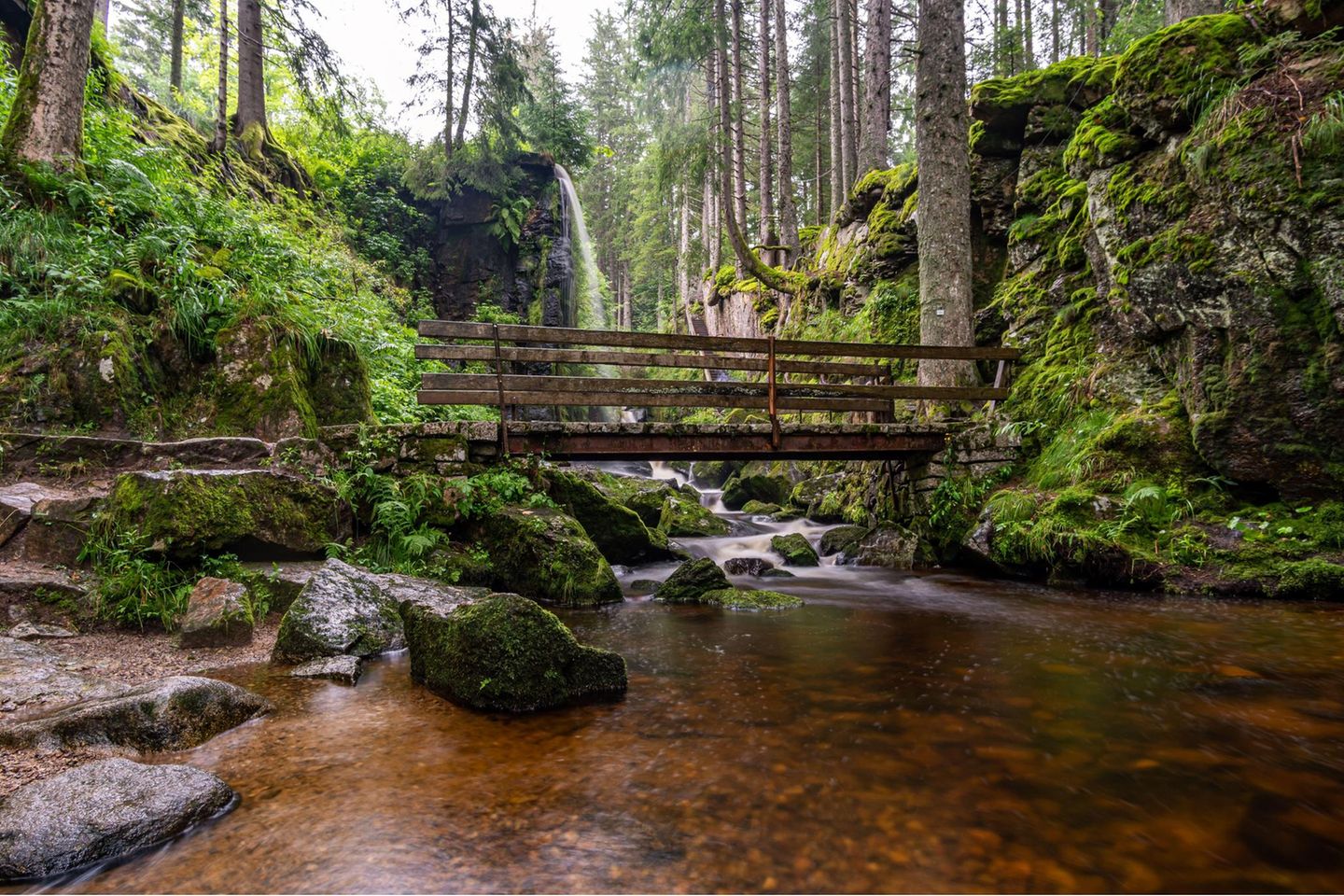 Eine üppig grüne Landschaft, durch die das Wasser des Wasserfalls fließt. Zum Überqueren des Wassers dient eine Holzbrücke