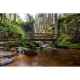 Eine üppig grüne Landschaft, durch die das Wasser des Wasserfalls fließt. Zum Überqueren des Wassers dient eine Holzbrücke