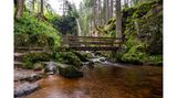 Eine üppig grüne Landschaft, durch die das Wasser des Wasserfalls fließt. Zum Überqueren des Wassers dient eine Holzbrücke