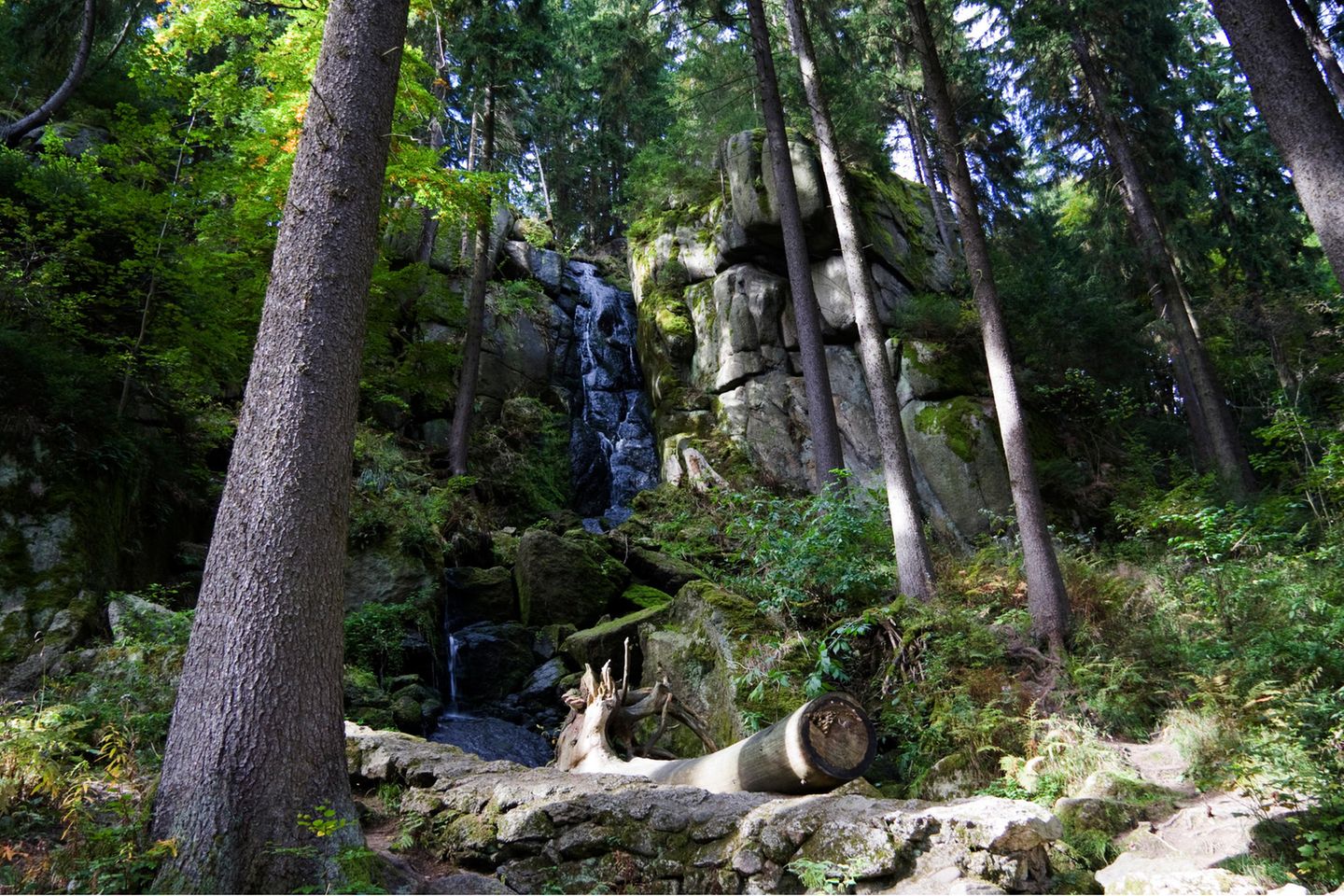Ein Wasserfall in einem Wald mit hohen Felsen und Bäumen