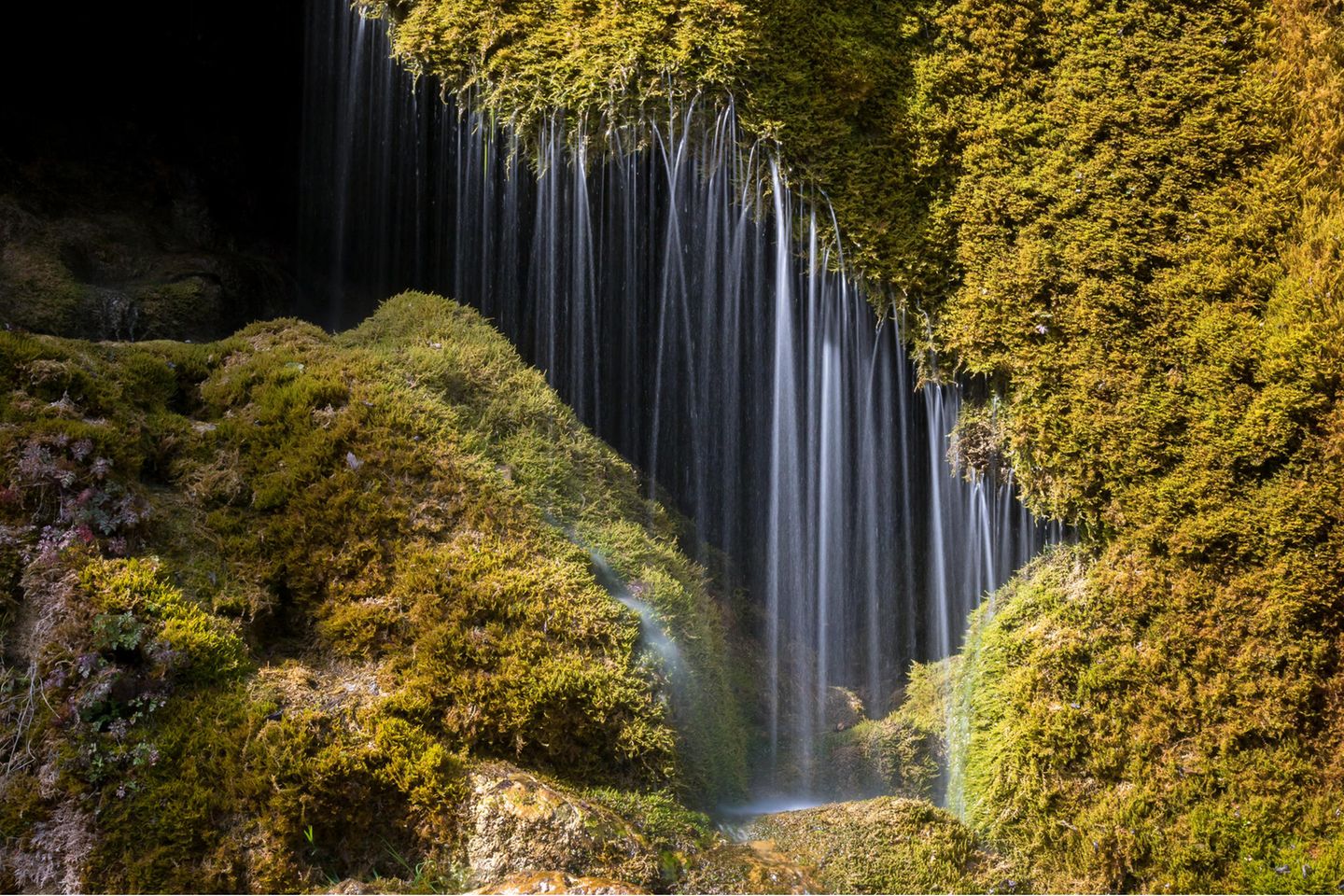 Von einer Mooswand fallen viele Wasserstrahlen hinunter