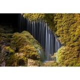 Von einer Mooswand fallen viele Wasserstrahlen hinunter