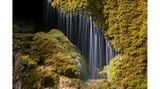 Von einer Mooswand fallen viele Wasserstrahlen hinunter