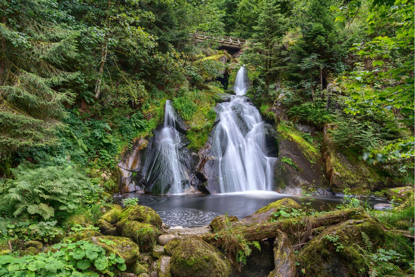 Wasserfall umgeben von grünen Pflanzen