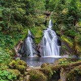 Wasserfall umgeben von grünen Pflanzen