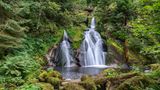 Wasserfall umgeben von grünen Pflanzen