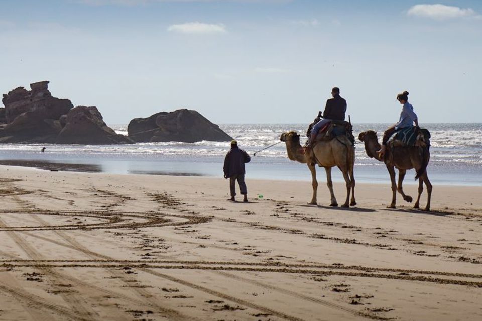 Touristen beim Kamelreiten am Strand