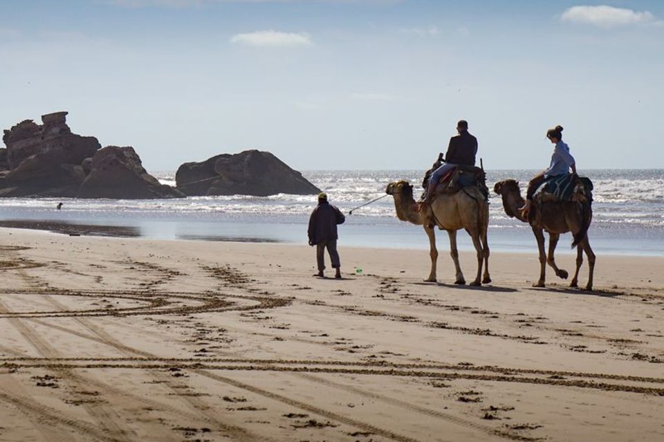 Touristen beim Kamelreiten am Strand  1.3333