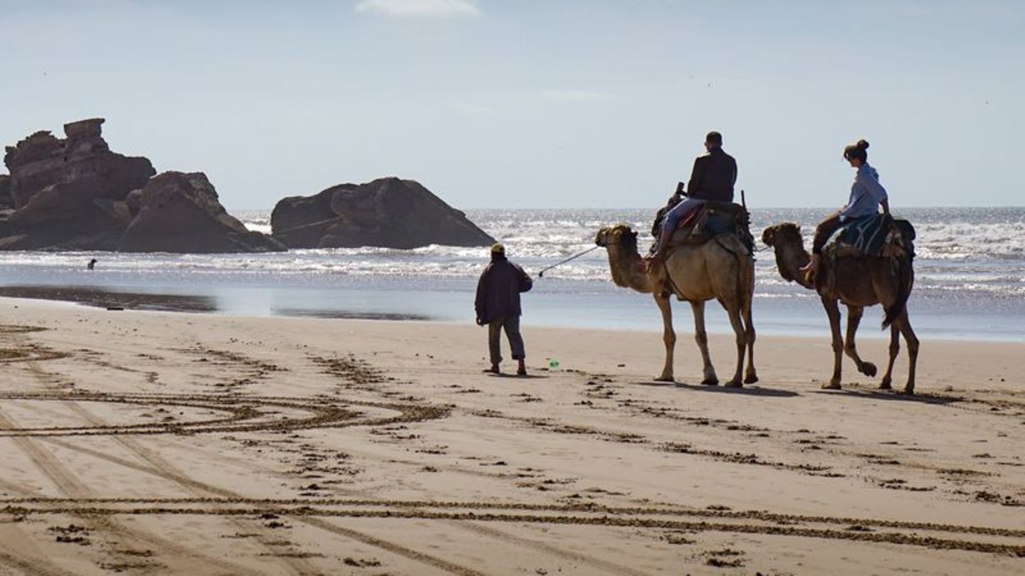 Touristen beim Kamelreiten am Strand