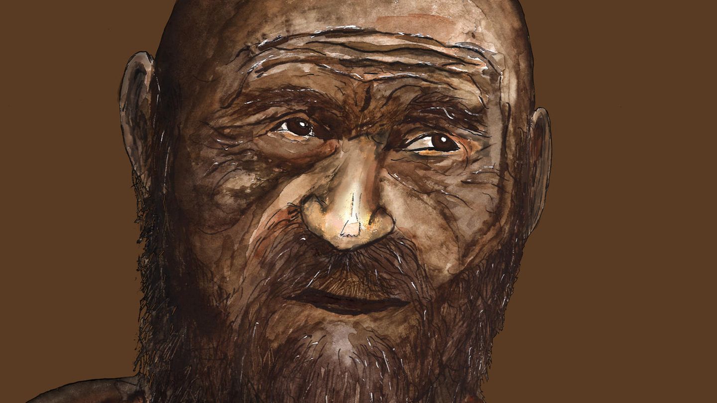 Illustration zeigt Ötzi kahl und mit dunkler Haut Illustration zeigt Ötzi kahl und mit dunkler Haut