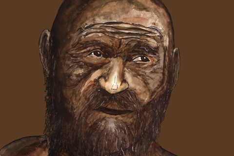 Illustration zeigt Ötzi kahl und mit dunkler Haut