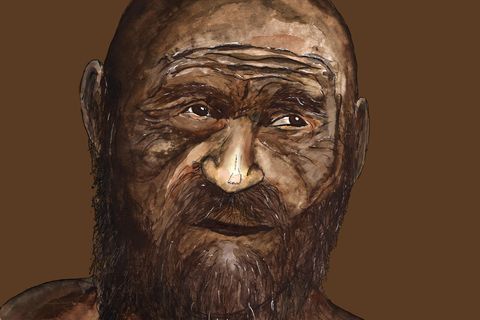 Illustration zeigt Ötzi kahl und mit dunkler Haut