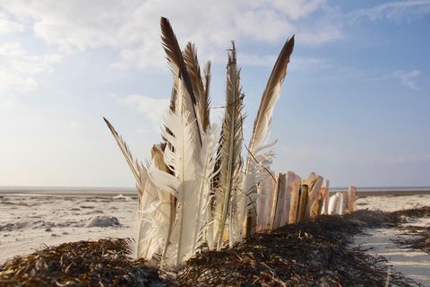 Landart Wattenmeer