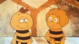 Biene Maja und Willi