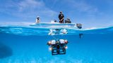 Er soll unser Verständnis vom Leben unter Wasser bereichern: ein kleiner, kabelgebundener Tauchroboter, ausgestattet mit Foto- und Videokameras. Vom Boot aus steuert ein Wissenschaftler das "Remotely Operated Vehicle", kurz ROV. Das Instrument kann in Tiefen vordringen, die für Taucher*innen unerreichbar sind. Das Team des Hoey Reef Ecology Lab habe mit Hilfe von ROVs unser Wissen um die Verbreitung etlicher Fischarten erweitert, schreibt die Jury: Die Tauchroboter spürten Spezies in Tiefen auf, in denen sie nie zuvor beobachtet worden waren. Das Foto entstand vor der Ostküste Australiens und gewann den ersten Platz in der Kategorie "Forschung in Aktion".