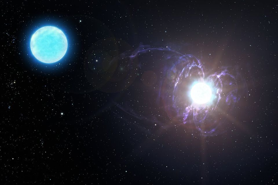 Der Heliumstern mit dem außergewöhnlichen Magnetfeld (rechts) ist nicht allein unterwegs: Er bildet mit einem "normalen" blauen Stern (links) ein Doppelsternsystem (künstlerische Darstellung)